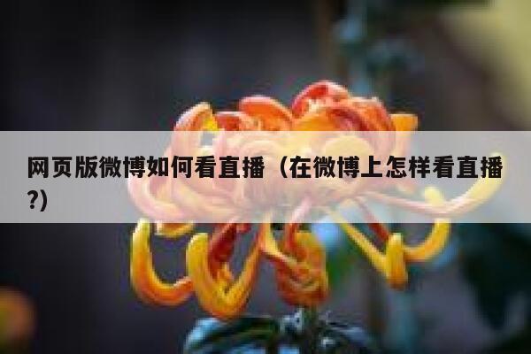 网页版微博如何看直播（在微博上怎样看直播?） 第1张