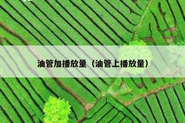 油管加播放量（油管上播放量） 第1张