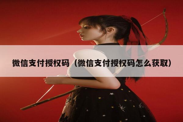微信支付授权码（微信支付授权码怎么获取） 第1张