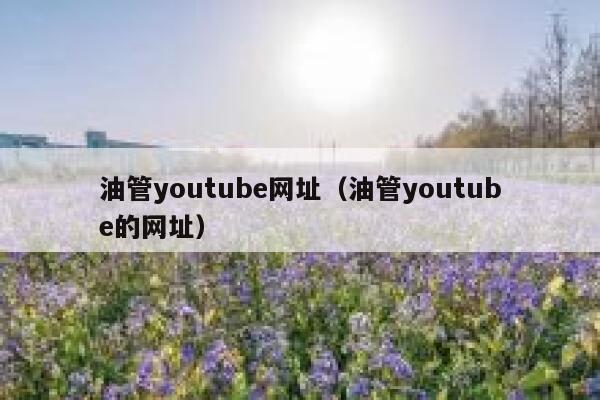 油管youtube网址（油管youtube的网址） 第1张