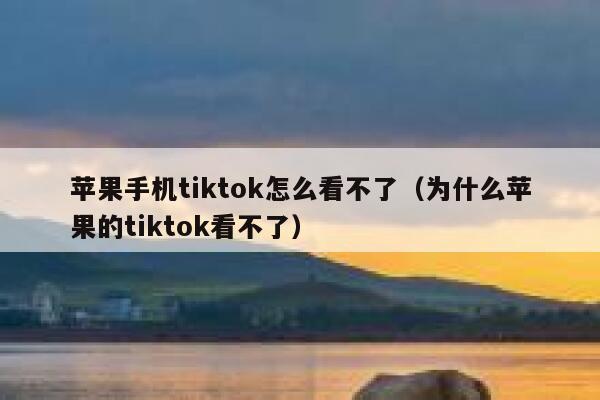 苹果手机tiktok怎么看不了（为什么苹果的tiktok看不了） 第1张