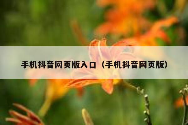 手机抖音网页版入口（手机抖音网页版） 第1张