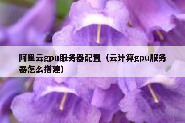 阿里云gpu服务器配置（云计算gpu服务器怎么搭建） 第1张