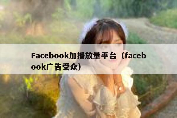 Facebook加播放量平台（facebook广告受众） 第1张
