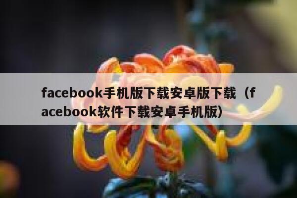 facebook手机版下载安卓版下载（facebook软件下载安卓手机版） 第1张