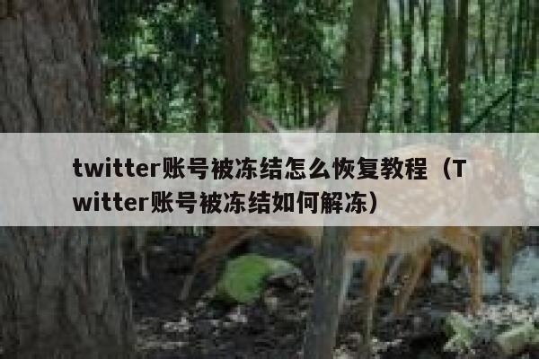 twitter账号被冻结怎么恢复教程（Twitter账号被冻结如何解冻） 第1张