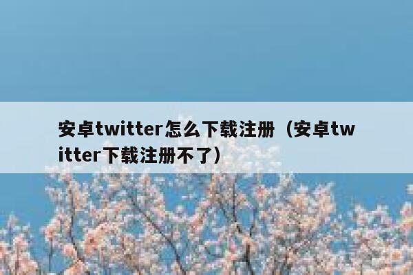 安卓twitter怎么下载注册（安卓twitter下载注册不了） 第1张