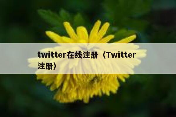 twitter在线注册（Twitter 注册） 第1张