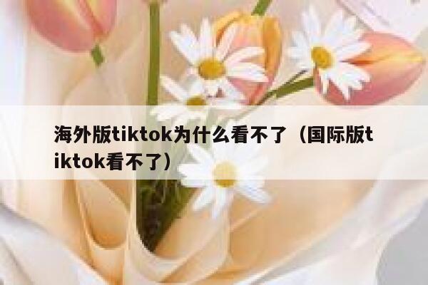 海外版tiktok为什么看不了（国际版tiktok看不了） 第1张