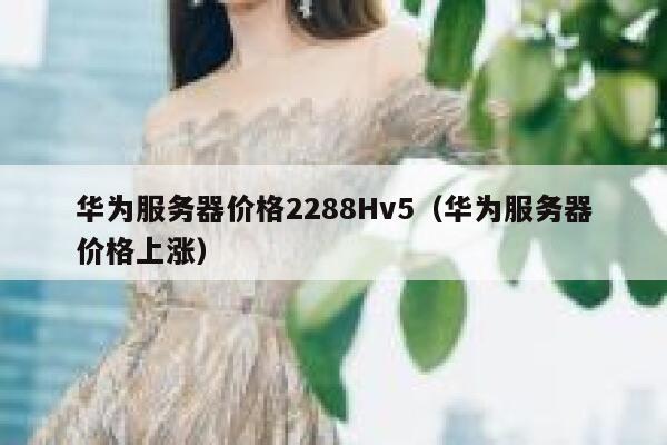 华为服务器价格2288Hv5（华为服务器价格上涨） 第1张