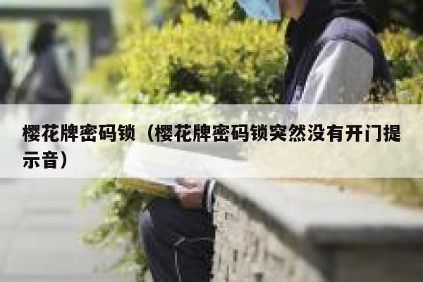 樱花牌密码锁（樱花牌密码锁突然没有开门提示音） 第1张