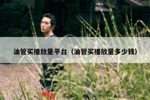油管买播放量平台（油管买播放量多少钱） 第1张