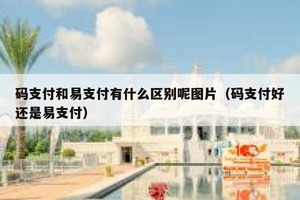 码支付和易支付有什么区别呢图片（码支付好还是易支付） 第1张