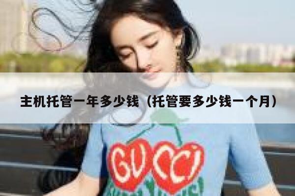 主机托管一年多少钱（托管要多少钱一个月） 第1张