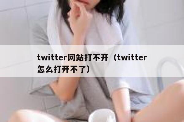 twitter网站打不开（twitter怎么打开不了） 第1张