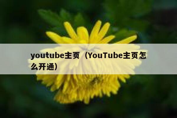 youtube主页（YouTube主页怎么开通） 第1张