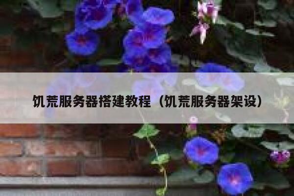 饥荒服务器搭建教程（饥荒服务器架设） 第1张