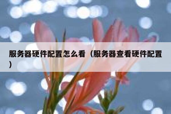 服务器硬件配置怎么看（服务器查看硬件配置） 第1张