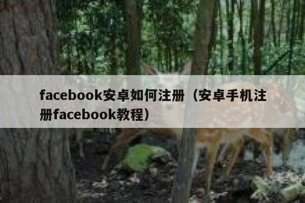 facebook安卓如何注册（安卓手机注册facebook教程） 第1张