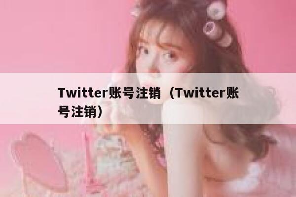 Twitter账号注销（Twitter账号注销） 第1张