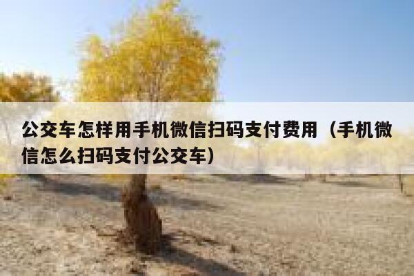公交车怎样用手机微信扫码支付费用（手机微信怎么扫码支付公交车） 第1张