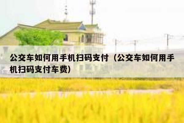 公交车如何用手机扫码支付（公交车如何用手机扫码支付车费） 第1张