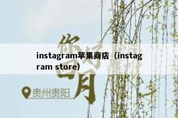 instagram苹果商店（instagram store） 第1张