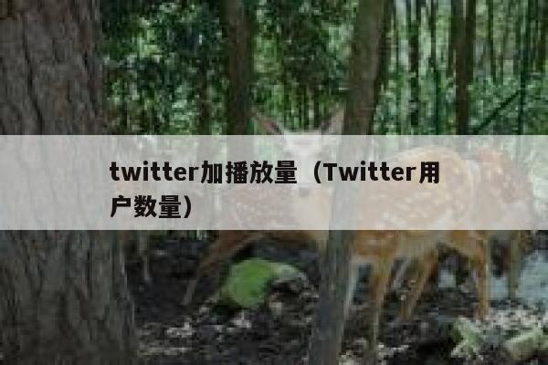 twitter加播放量（Twitter用户数量） 第1张