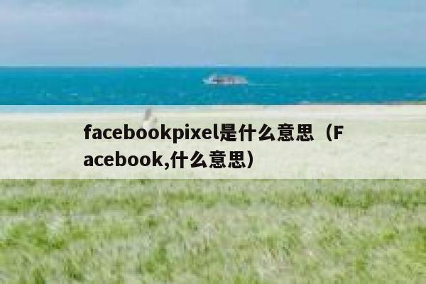 facebookpixel是什么意思（Facebook,什么意思） 第1张