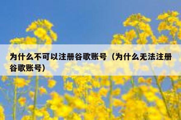 为什么不可以注册谷歌账号（为什么无法注册谷歌账号） 第1张