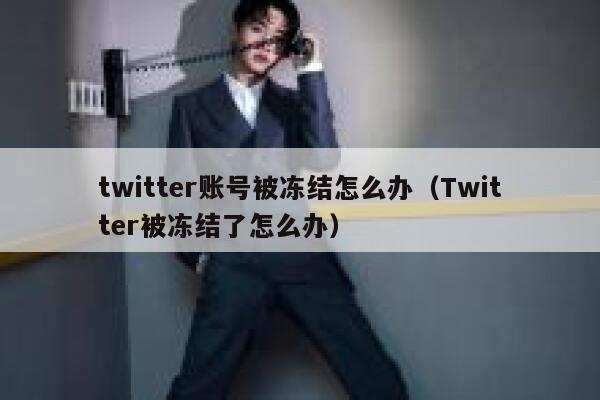 twitter账号被冻结怎么办（Twitter被冻结了怎么办） 第1张