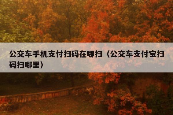 公交车手机支付扫码在哪扫(公交车支付宝扫码扫哪里) 第1张 公交车手机支付扫码在哪扫(公交车支付宝扫码扫哪里) 第1张
