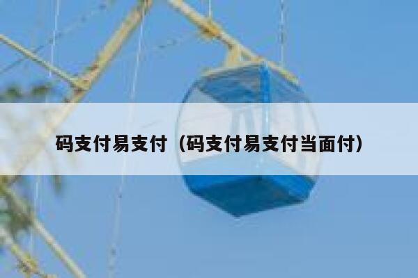 码支付易支付（码支付易支付当面付） 第1张
