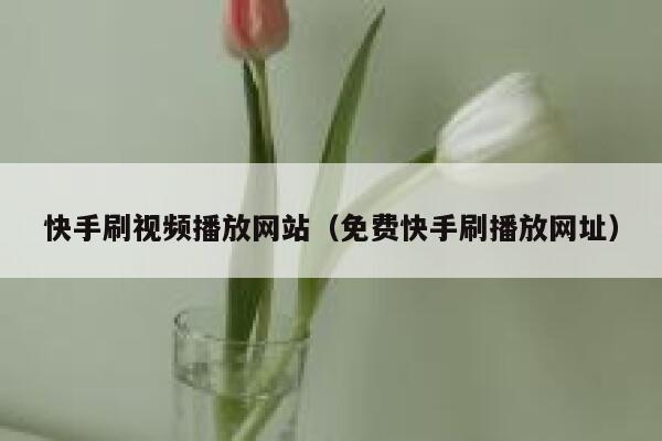 快手刷视频播放网站（免费快手刷播放网址） 第1张