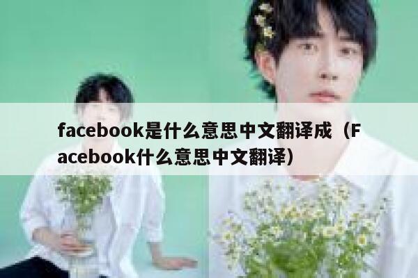 facebook是什么意思中文翻译成（Facebook什么意思中文翻译） 第1张