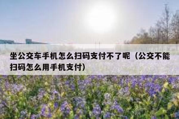 坐公交车手机怎么扫码支付不了呢（公交不能扫码怎么用手机支付） 第1张