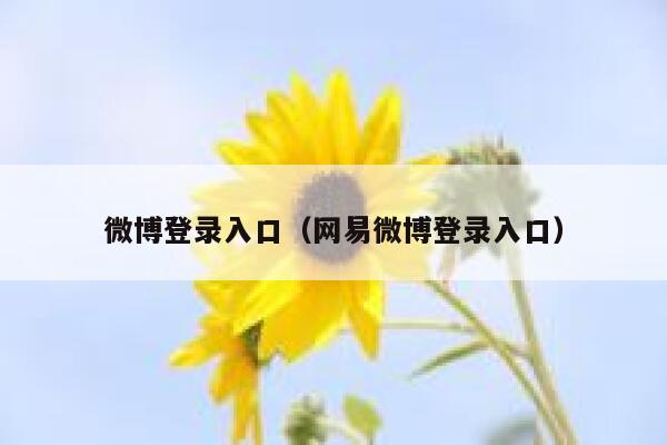 微博登录入口（网易微博登录入口） 第1张