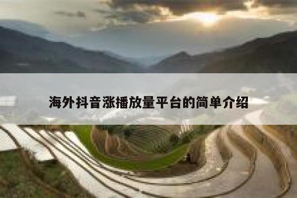 海外抖音涨播放量平台的简单介绍 第1张
