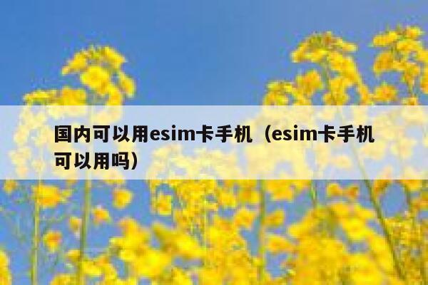 国内可以用esim卡手机（esim卡手机可以用吗） 第1张