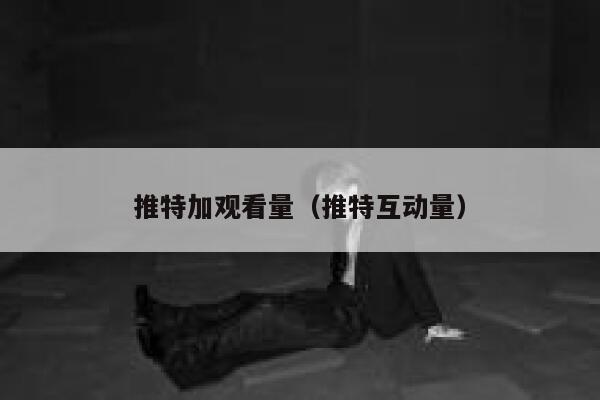 推特加观看量（推特互动量） 第1张