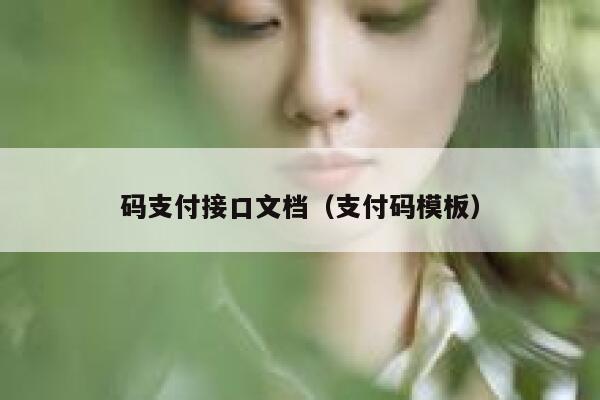 码支付接口文档（支付码模板） 第1张