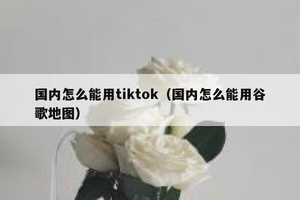 国内怎么能用tiktok（国内怎么能用谷歌地图） 第1张