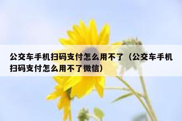 公交车手机扫码支付怎么用不了（公交车手机扫码支付怎么用不了微信） 第1张