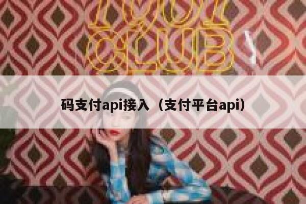 码支付api接入（支付平台api） 第1张