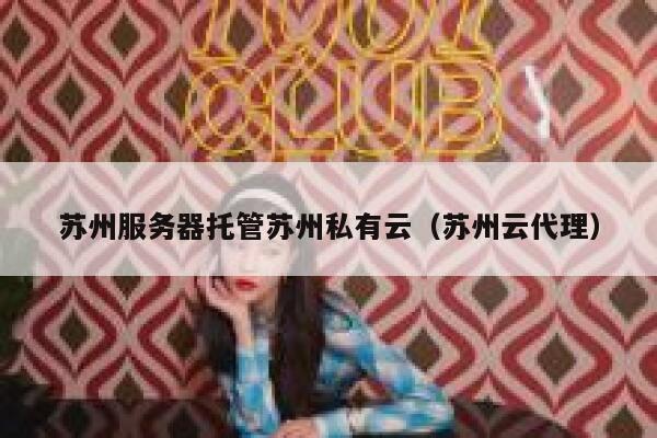 苏州服务器托管苏州私有云（苏州云代理） 第1张