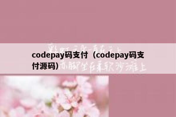 codepay码支付（codepay码支付源码） 第1张