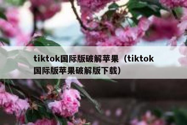 tiktok国际版破解苹果（tiktok国际版苹果破解版下载） 第1张