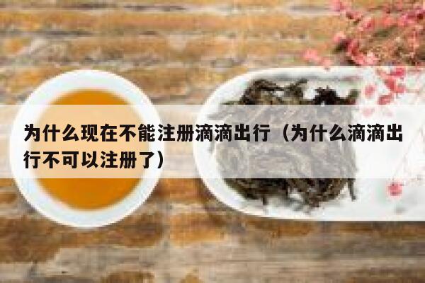 为什么现在不能注册滴滴出行（为什么滴滴出行不可以注册了） 第1张
