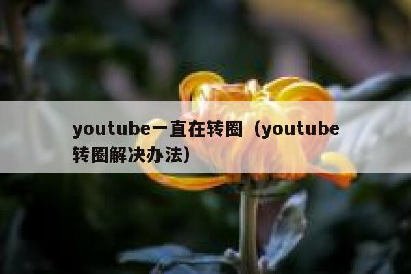 youtube一直在转圈（youtube转圈解决办法） 第1张