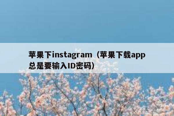 苹果下instagram（苹果下载app总是要输入ID密码） 第1张
